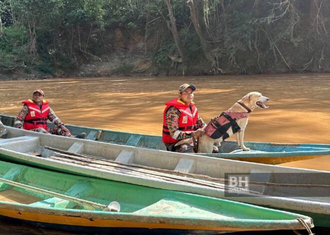 Denti dan Frankie K9 Bomba bantu kesan Vijayaletchumi