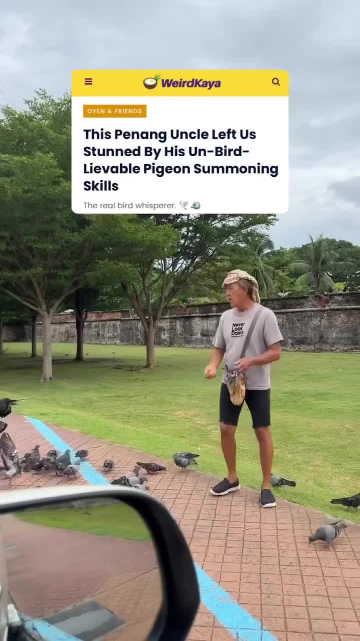 Kehebatan Seorang ‘Bird Whisperer’ di Pulau Pinang yang Mengasyikkan